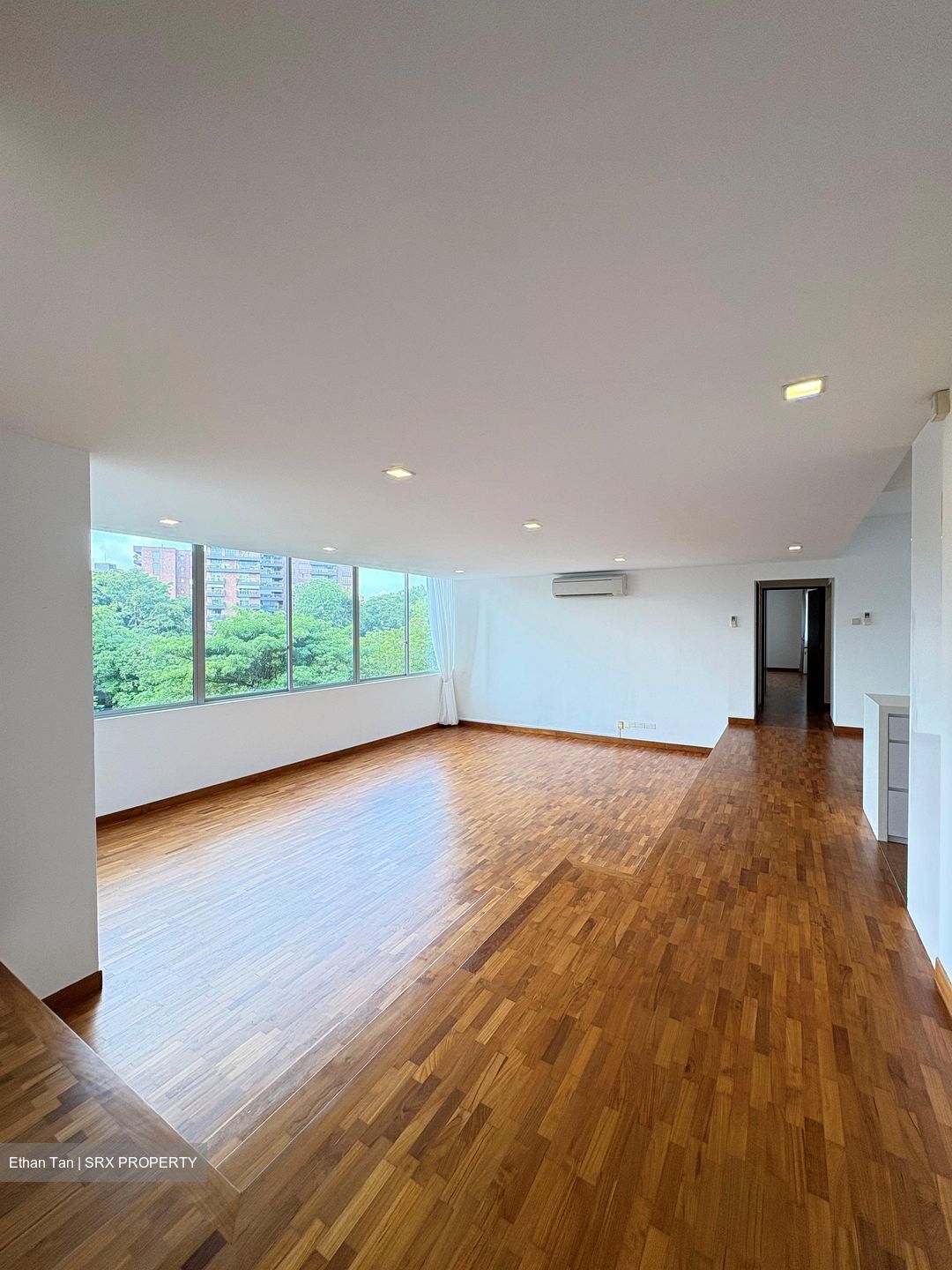Nassim Regency (D10), Condominium #581608671